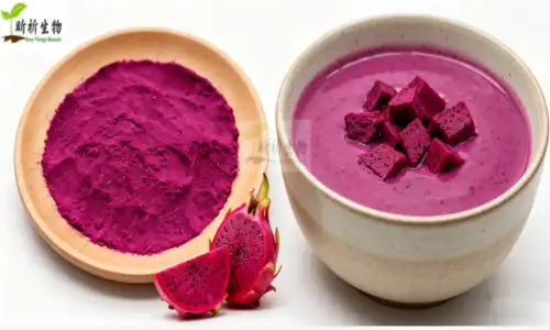 Dragon Fruit Freeze Dried Powder